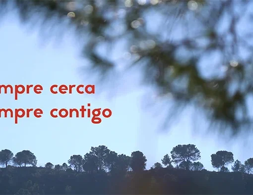 Frame extraido del video Siempre cerca, siempre contigo | Fibratown, en el se puede apreciar una vista al paisaje con arboles y el cielo azul